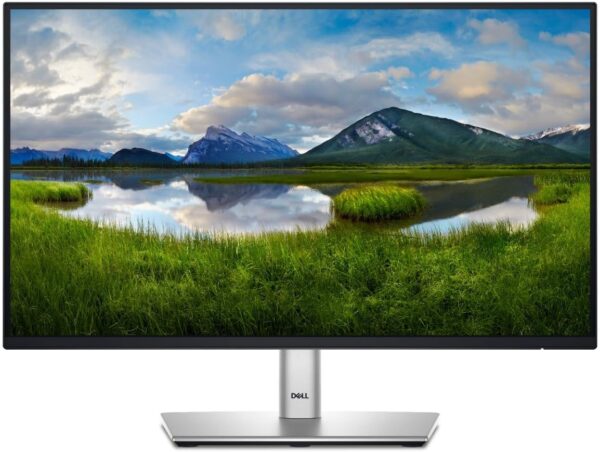 Dell 24 Monitor - P2422H - Full HD 1080p, IPS Technology, ComfortView Plus Technology - Image 4